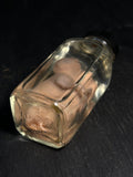 Dicelphalous Fetal Kitten Wet Specimen