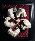 Rat King Framed Display