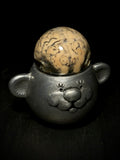 Brain Bear Wet Specimen on Vintage Base