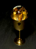 Golden Silk Spider Wet Specimen on Vintage Base
