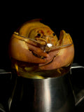 Crayfish Wet Specimen on Vintage Base