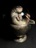 Stillborn Kitten Wet Specimen on Antique Base