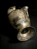 Stillborn Kitten Wet Specimen on Antique Base