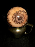 Tentacle Wet Specimen on Vintage Base