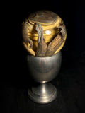 American Bullfrog Wet Specimen on Vintage Base