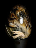Coturnix Quail in Egg on Vintage Base