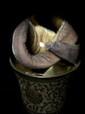 Hagfish Wet Specimen on Antique Base