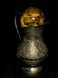 Cane Toad Wet Specimen on Antique Base