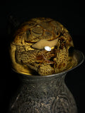 Cane Toad Wet Specimen on Antique Base