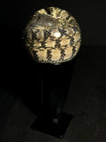 Diamondback Watersnake Wet Specimen on Vintage Base