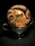 Octopus Wet Specimen on Vintage Base