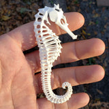 3D Printed Seahorse Exoskeleton