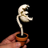 Audrii (Plant) Replica Figurine