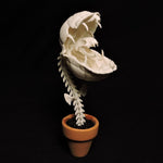 Audrii (Plant) Replica Figurine