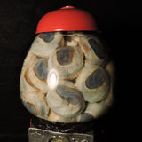 PREORDER FOR DECEMBER!! Eyeball Gumball Machine