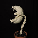 Resin 3D Printed Audrii Replica