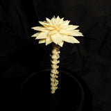 Bone Flower with Glass Dome