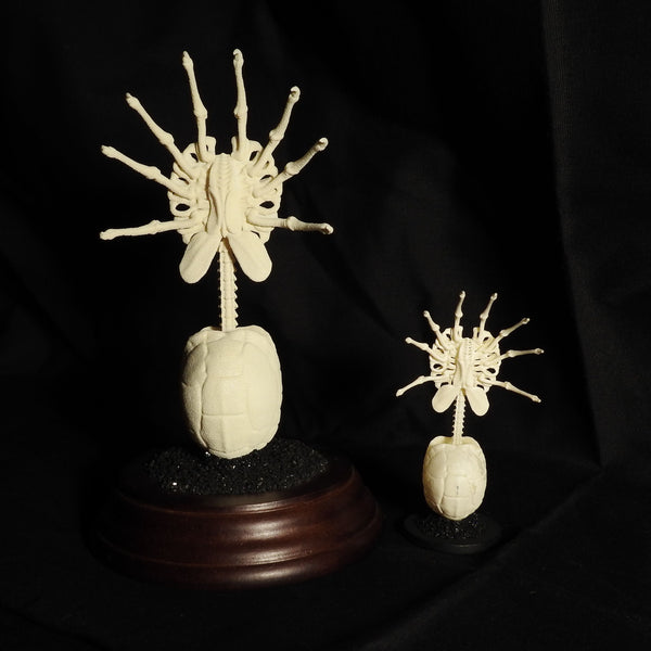 Parasitoid (Facehugger) Skeleton Replica Figurine Boneyard