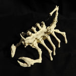 Bone Scorpion 3D Printed Replica