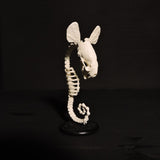 Kampos (Seahorse) Replica Figurine