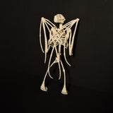 3D Printed Fruit Bat Skeleton (Wings Closed) Shadowbox Display