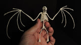 3D Printed Bat Skeleton Wholesale Lot of 5