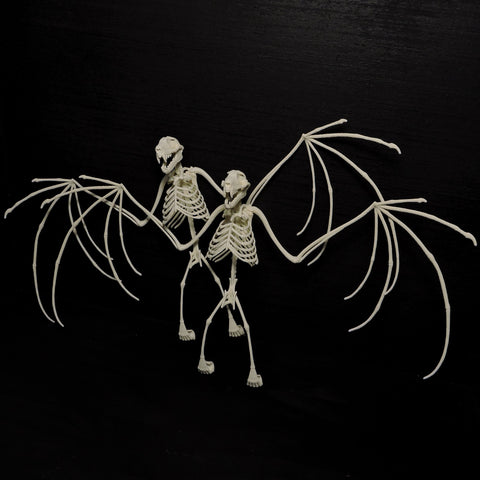 3D Printed Bat Skeleton Wholesale Lot of 5